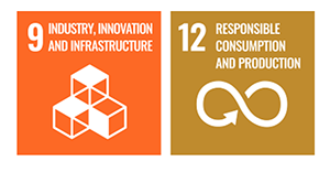 Sustainable Development Goals (SDGs)