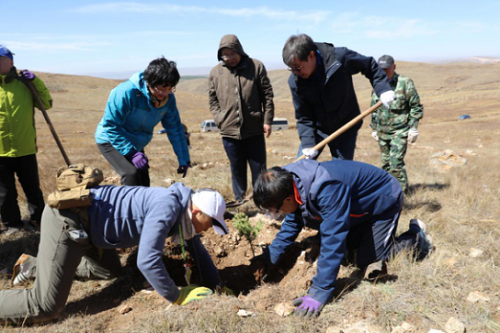 武川县绿化植树