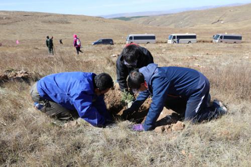 武川县绿化植树