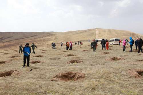 武川县绿化植树