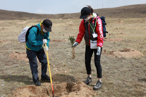 武川县绿化植树
