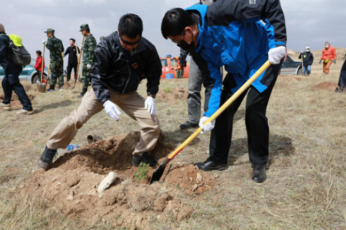 武川县绿化植树