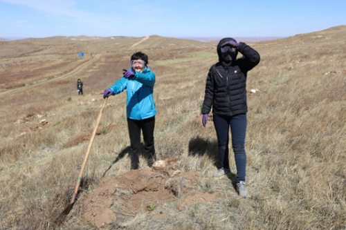 武川县绿化植树