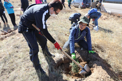 武川县绿化植树