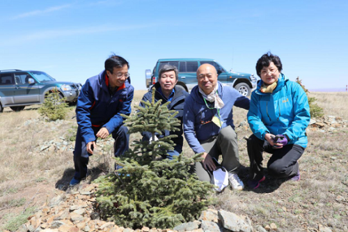 武川县绿化植树