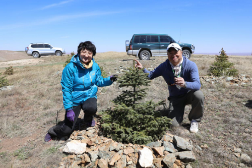 武川县绿化植树