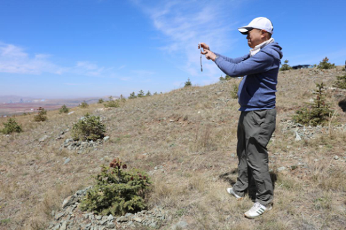 武川县绿化植树