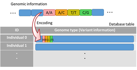 Figure 2: Genome-type data structure columns