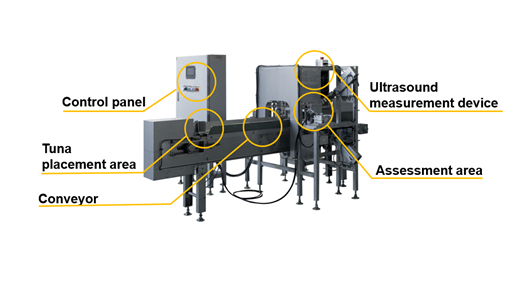 Figure 1. Diagram of the SONOFAI T-01
