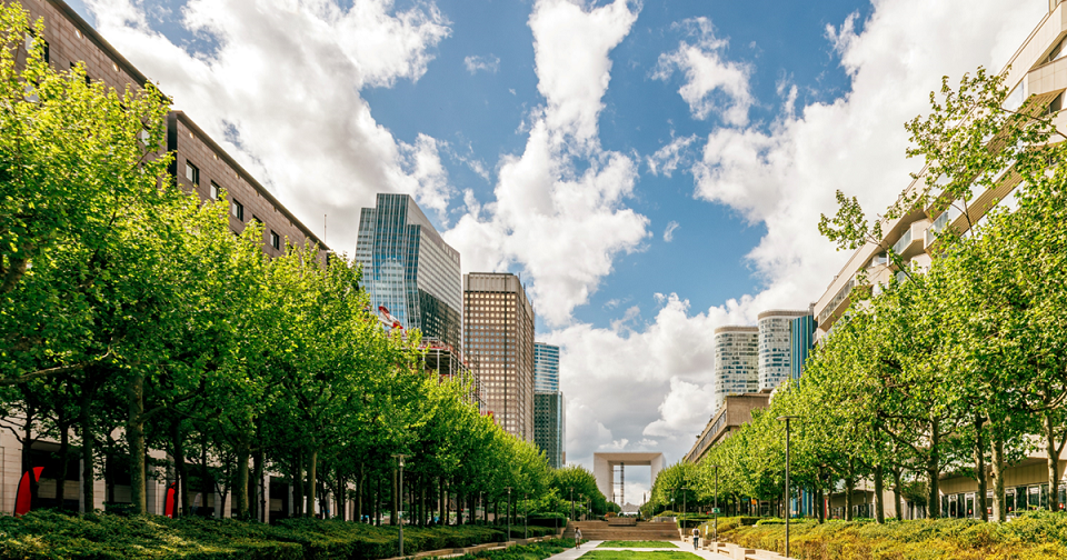 ogp 2024 Fujitsu SX Survey