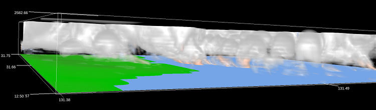 Figure 2: Reproduction of tornadoes associated with Typhoon No.10 in 2024 (20km x 20km): The red area represents strong swirling winds, likely a tornado, while the white area represents the swirling clouds above it. (This visualization was created by Yokohama National University using the VAPOR weather visualization tool.)