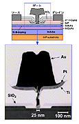 極微細25nmゲート断面