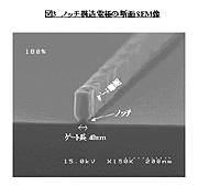 ノッチ構造電極の断面SEM像