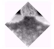 注入領域がよく見えるトランジスタ断面のSTM像