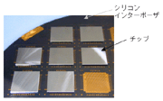 開発したシリコンインターポーザ