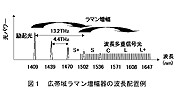 広帯域ラマン増幅器の波長配置例