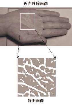 近赤外線画像と整脈画像