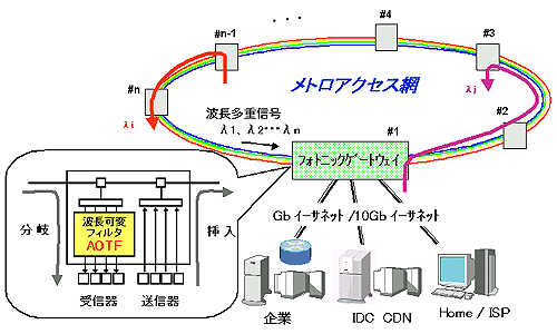 光メトロ・アクセスシステムの構成