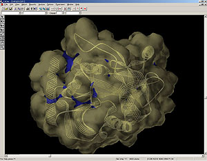 たんぱく質の表面の解析画面