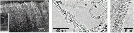 多層カーボンナノチューブ写真