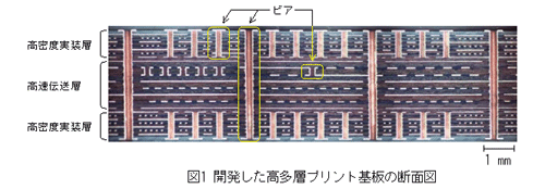 開発した高多層プリント基板の断面図
