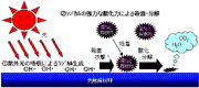 光触媒材料の有機物分解のメカニズム
