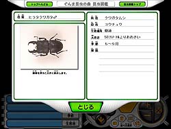ヒラタクワガタ説明画面