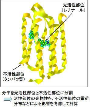 図1．QM/MM法による光物性計算