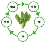 農産物の生産者と消費者との循環の図
