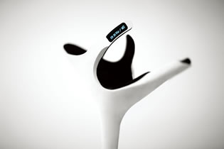 The Aid (イメージ1)