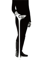 The Aid (イメージ2)