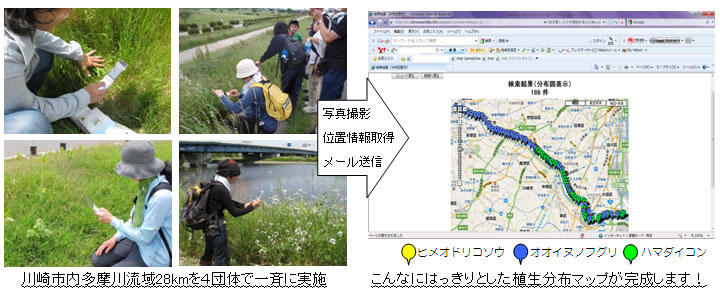 植生分布マップの作成