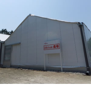 写真2：「Akisai農場」ハウス
