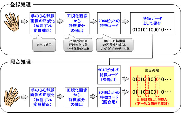 図3 開発した特徴コードによる手のひら静脈認証技術の概要