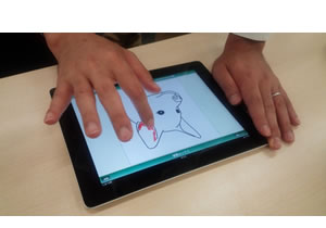 診療業務支援サービスの入力イメージ