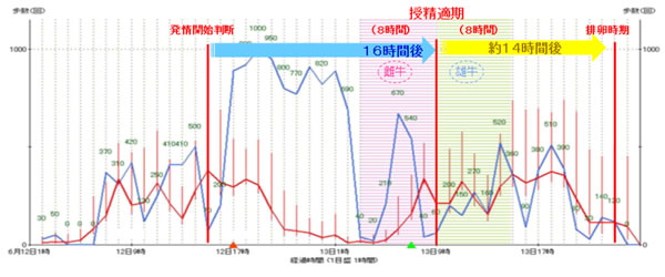 図2. 牛の歩数グラフ