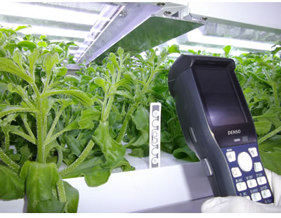 ハンディターミナル連携機能(RFID読取り)