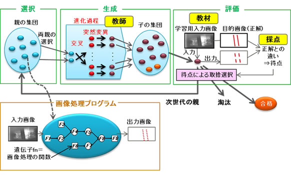 図2 遺伝的アルゴリズムを用いた画像認識プログラムの自動生成の概要