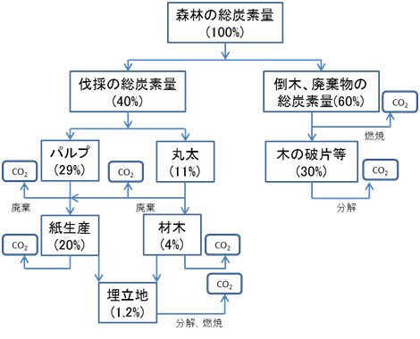 図1 森林資源の利用による炭素のフロー図