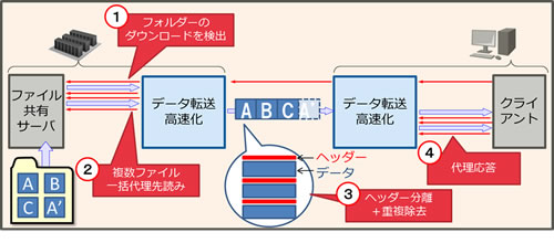図2 開発した技術の概要