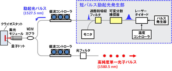 図3 今回開発した1.5μm帯高純度単一光子源