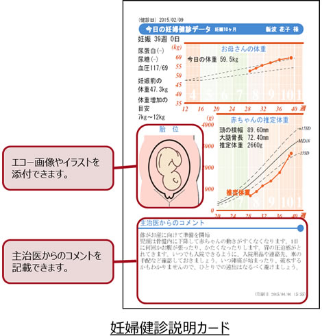 妊婦健診説明カード