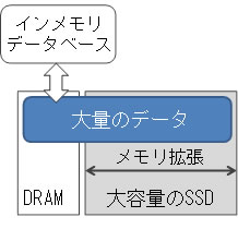 図1 インメモリデータベースのメモリ拡張