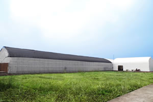 図1. ショールーム外観