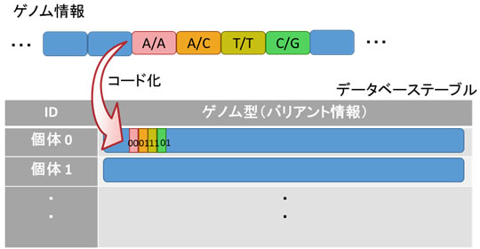 図2 ゲノム型カラム