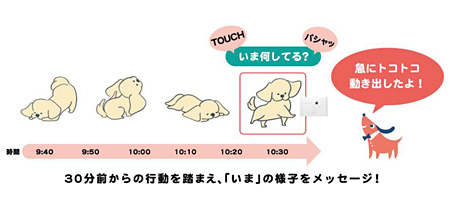 留守番中の愛犬の行動