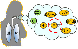 図1. 呼気成分のイメージ