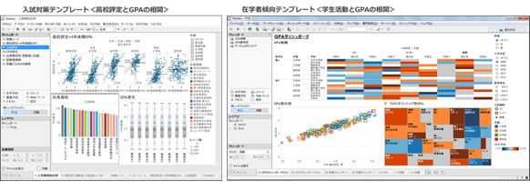 図3. 分析テンプレートの一例