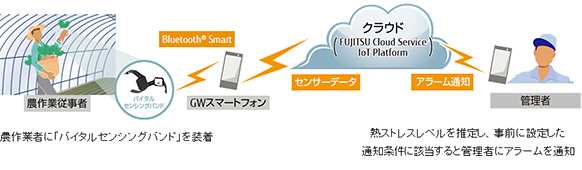 図. 実証実験のシステムイメージ