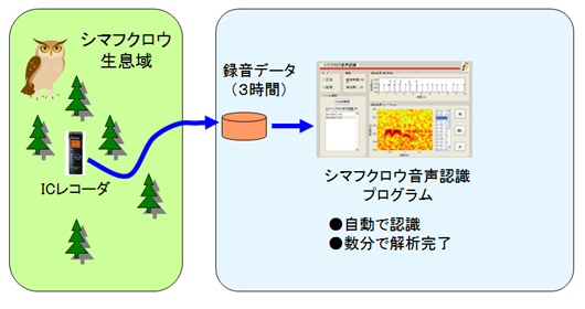シマフクロウの鳴き声を自動抽出するプログラム